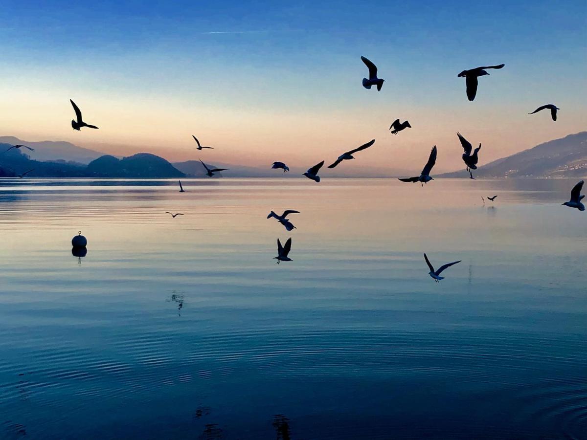Apartmán Privatzimmer Am Thunersee Leissigen Exteriér fotografie